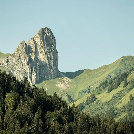 Boutiquehotel Edelweiss Hotel