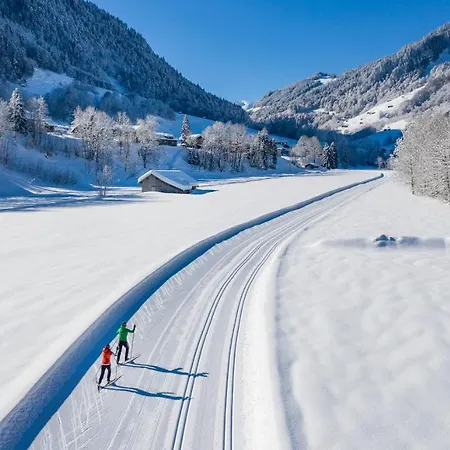 Boutiquehotel Edelweiss Hotel 4*