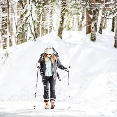 Boutiquehotel Edelweiss 4* Schoppernau