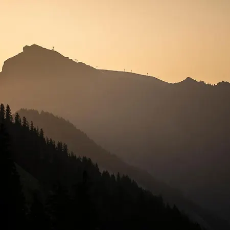 Hotel Boutiquehotel Edelweiss Schoppernau