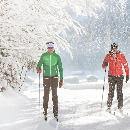 Boutiquehotel Edelweiss Hotel Schoppernau