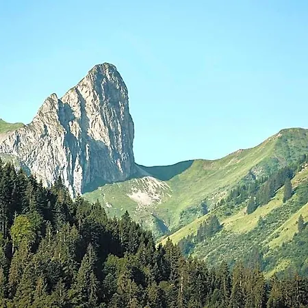 Boutiquehotel Edelweiss 4* Schoppernau