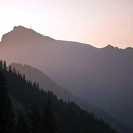 Hotel Boutiquehotel Edelweiss Schoppernau