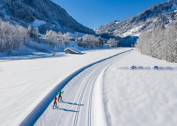 Boutiquehotel Edelweiss Hotel 4*