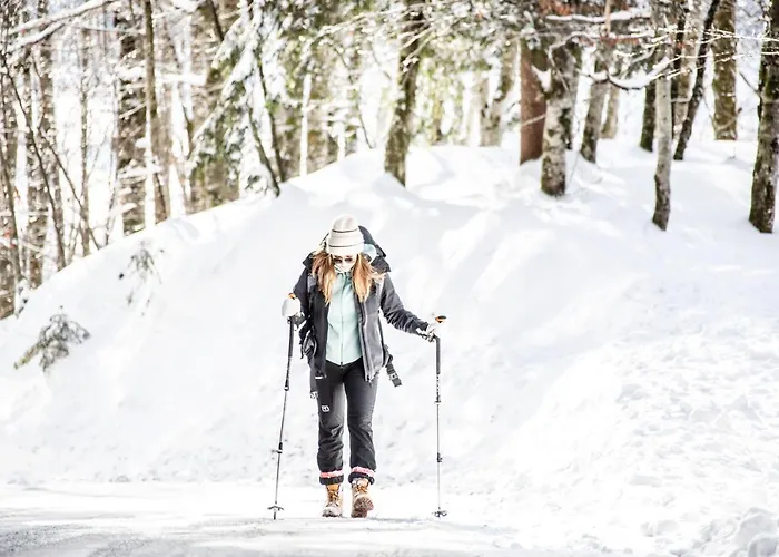 Boutiquehotel Edelweiss 4* Schoppernau