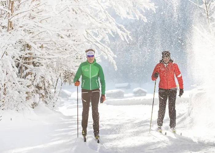 Boutiquehotel Edelweiss Hotel Schoppernau